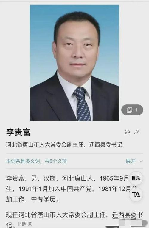 阜阳丁娟爆料事件最新,真相与争议交织的舆论漩涡