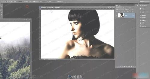 爆料视频拍摄技巧,爆款视频背后的秘密